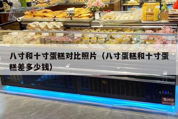 八寸和十寸蛋糕对比照片（八寸蛋糕和十寸蛋糕差多少钱）