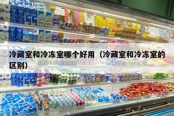 冷藏室和冷冻室哪个好用（冷藏室和冷冻室的区别）