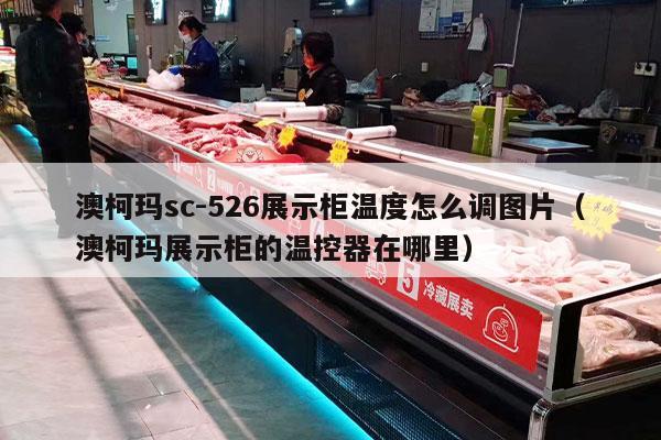 澳柯玛sc-526展示柜温度怎么调图片（澳柯玛展示柜的温控器在哪里）