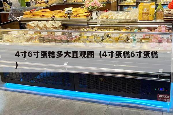 4寸6寸蛋糕多大直观图（4寸蛋糕6寸蛋糕）