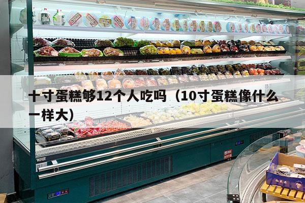 十寸蛋糕够12个人吃吗（10寸蛋糕像什么一样大）