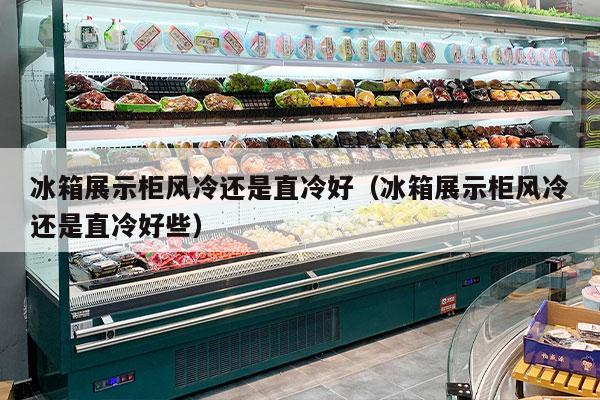 冰箱展示柜风冷还是直冷好（冰箱展示柜风冷还是直冷好些）