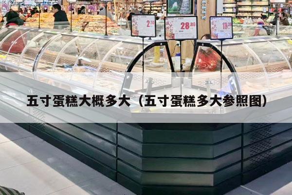 五寸蛋糕大概多大（五寸蛋糕多大参照图）
