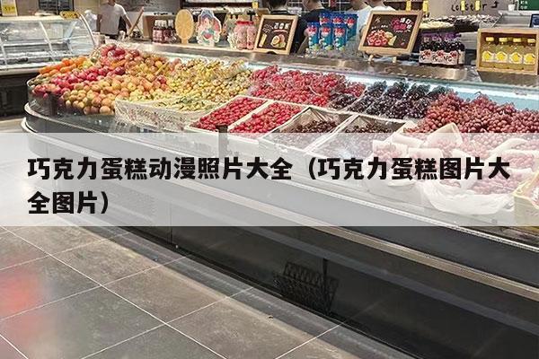 巧克力蛋糕动漫照片大全（巧克力蛋糕图片大全图片）