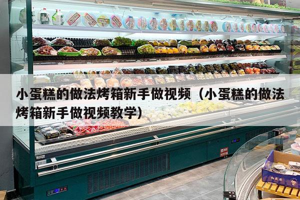小蛋糕的做法烤箱新手做视频（小蛋糕的做法烤箱新手做视频教学）